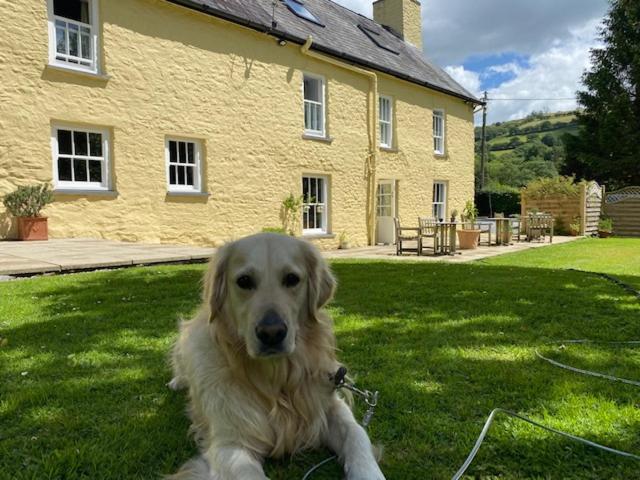Ty Mawr Country Hotel & Restaurant Carmarthen Buitenkant foto
